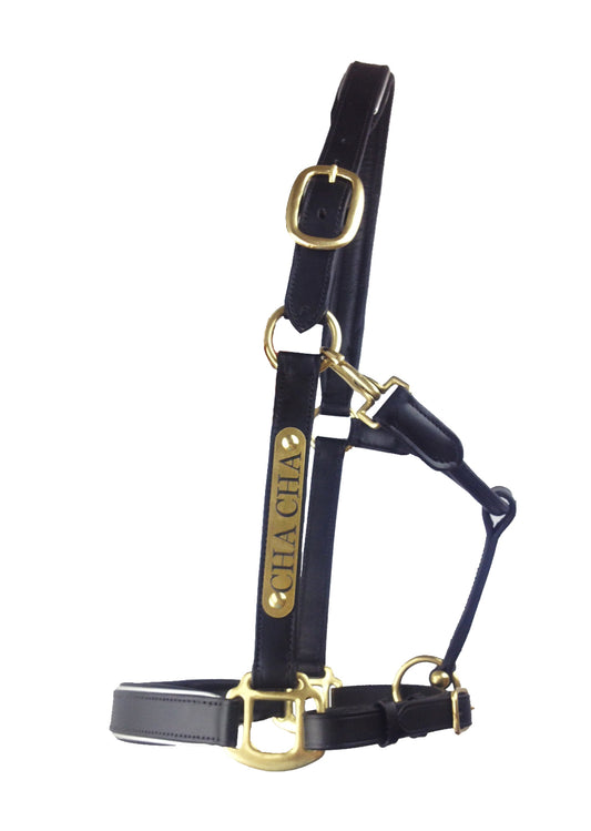 Leather Halter - Brass Fittings with Engraved Horse Nameplate