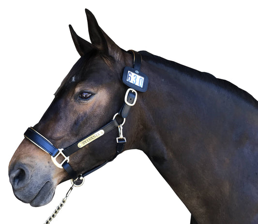 🐴EA Dressage Rule Update🐴