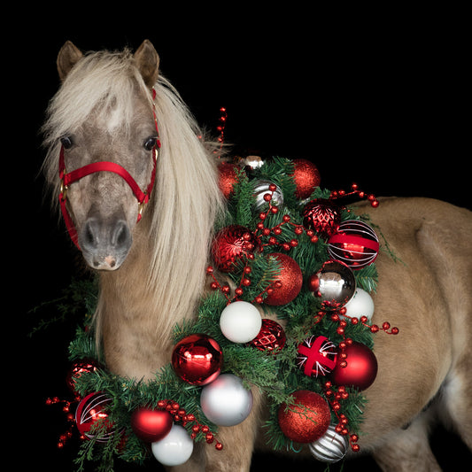 10 Christmas Gift Ideas for your Horse