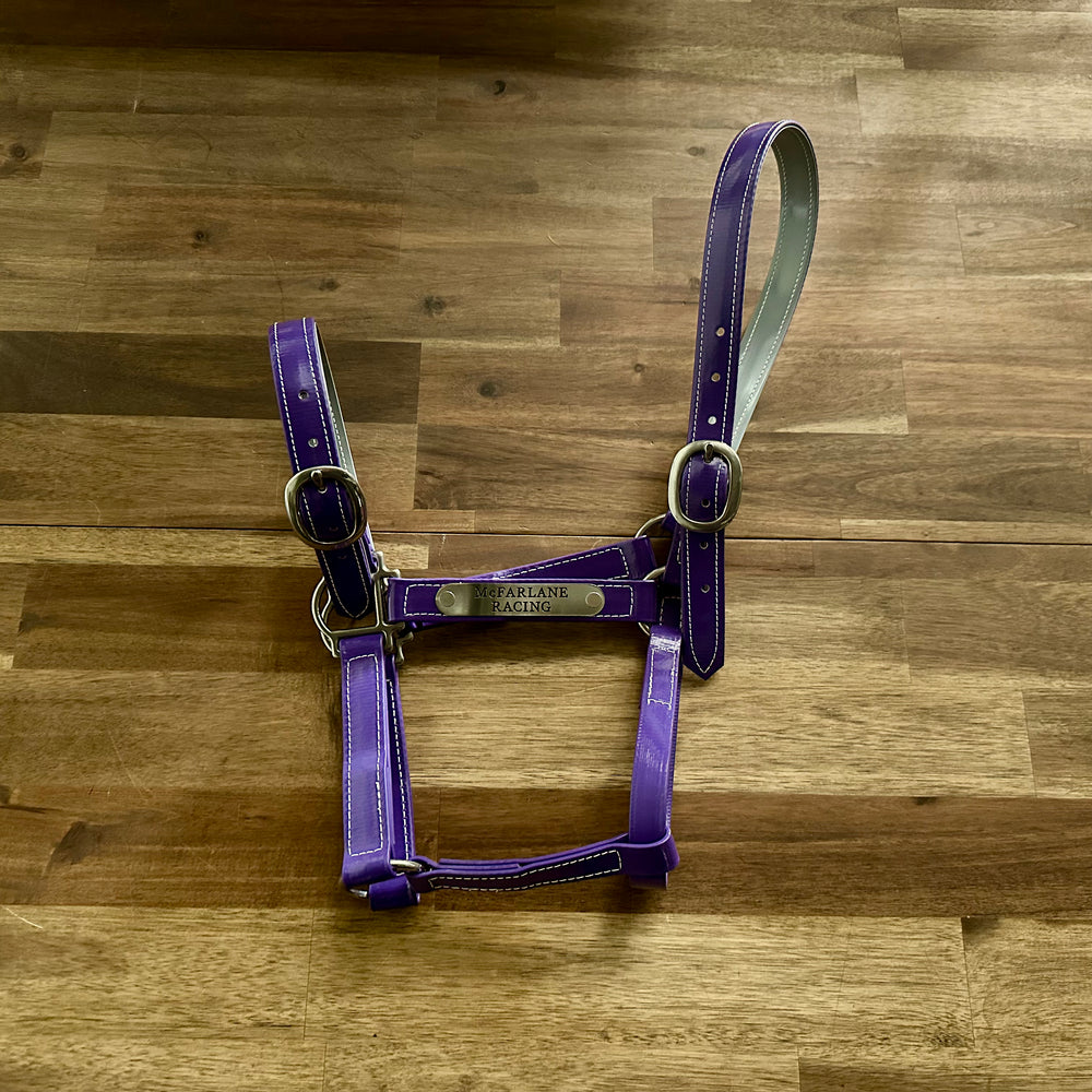 Custom PVC Halter with Engraved Horse Nameplate