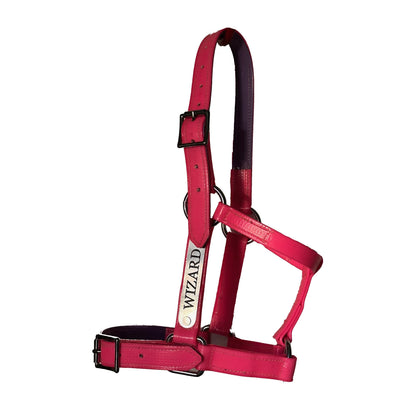 Custom PVC Halter with Engraved Horse Nameplate