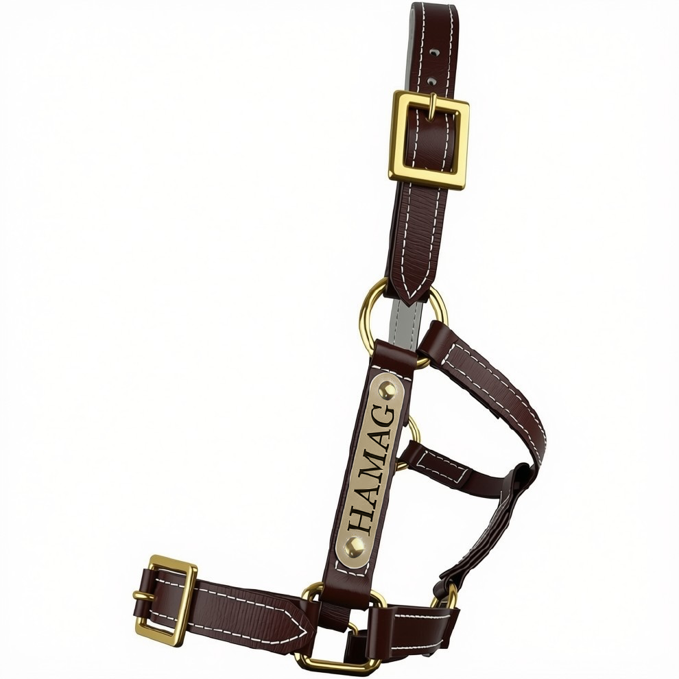 PVC Halter Brown - Brass Fittings with Engraved Horse Nameplate