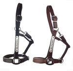 Leather Halter - Stainless Buckles with Engraved Horse Nameplate