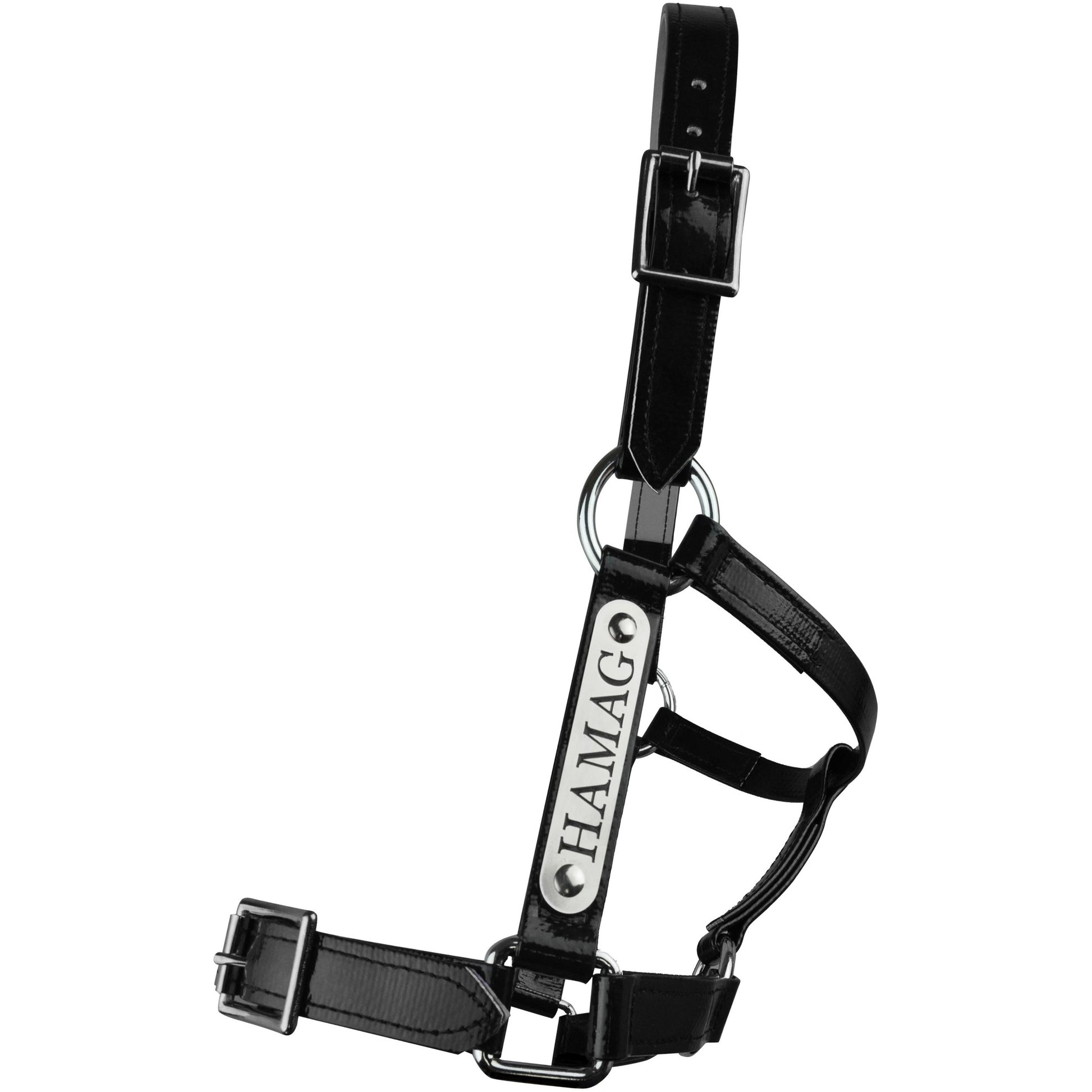 PVC Halter with Custom Engraved Nameplate - Black