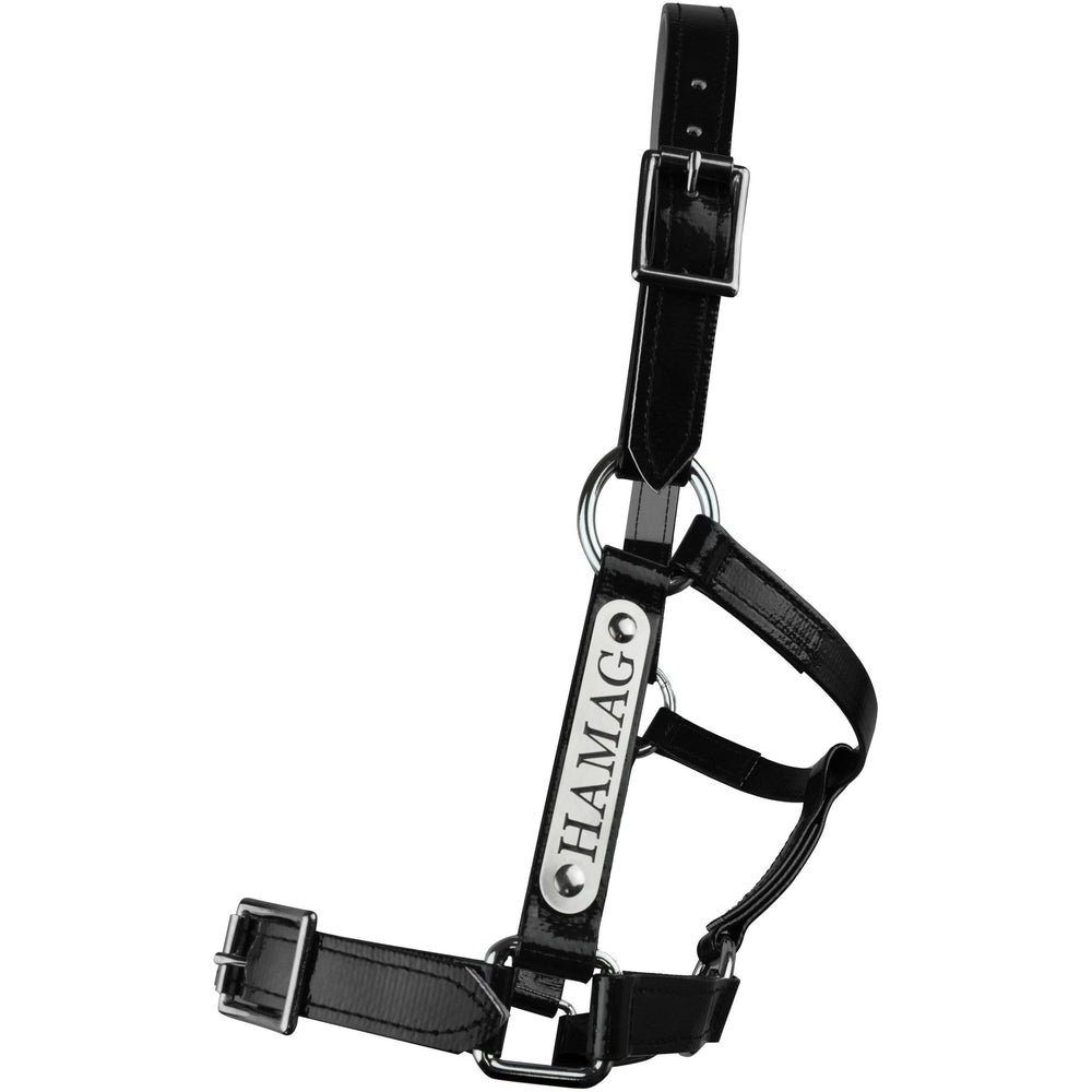 PVC Halter Black - Silver Fittings with Engraved Horse Nameplate