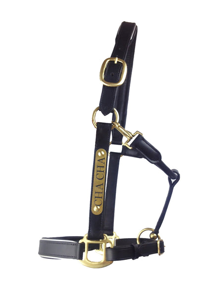 Leather Halter - Brass Fittings with Engraved Horse Nameplate