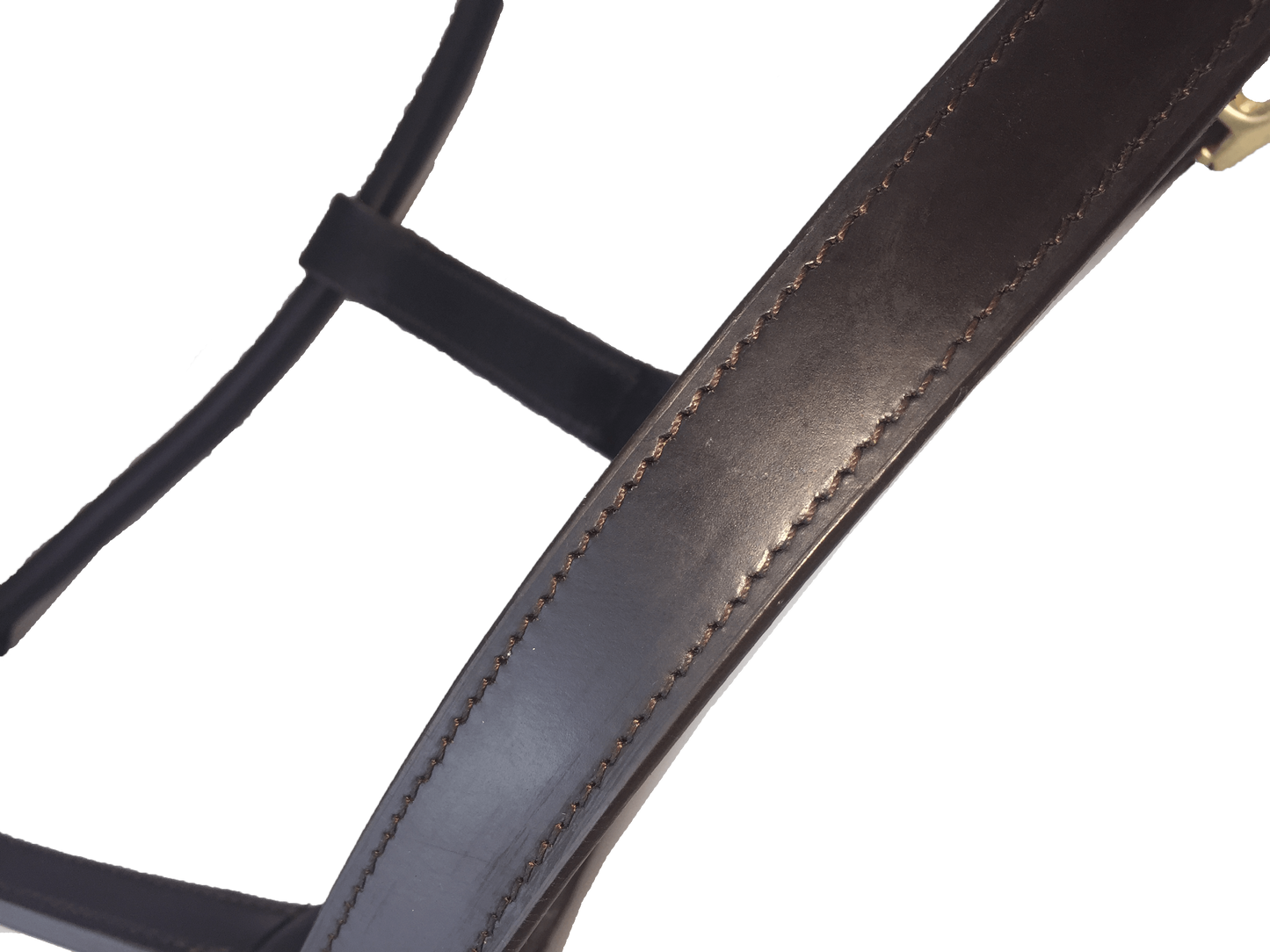 Leather Halter Thoroughbred