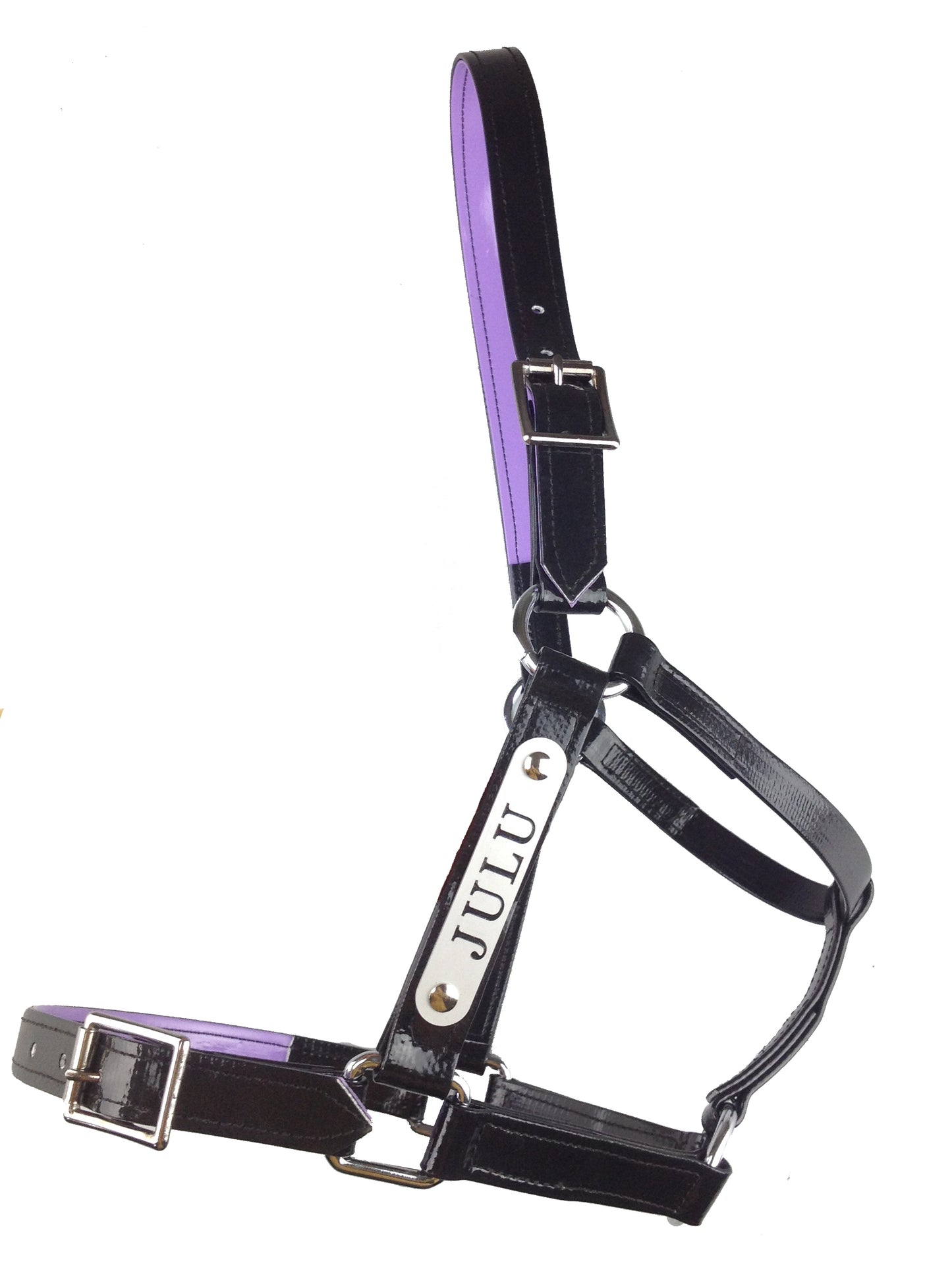 PVC Halter with Custom Engraved Nameplate - Black