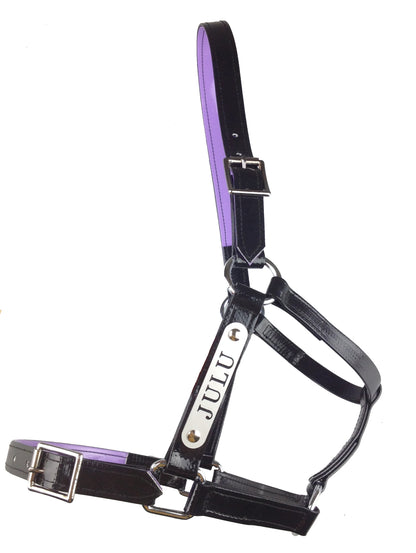 PVC Halter with Custom Engraved Nameplate - Black