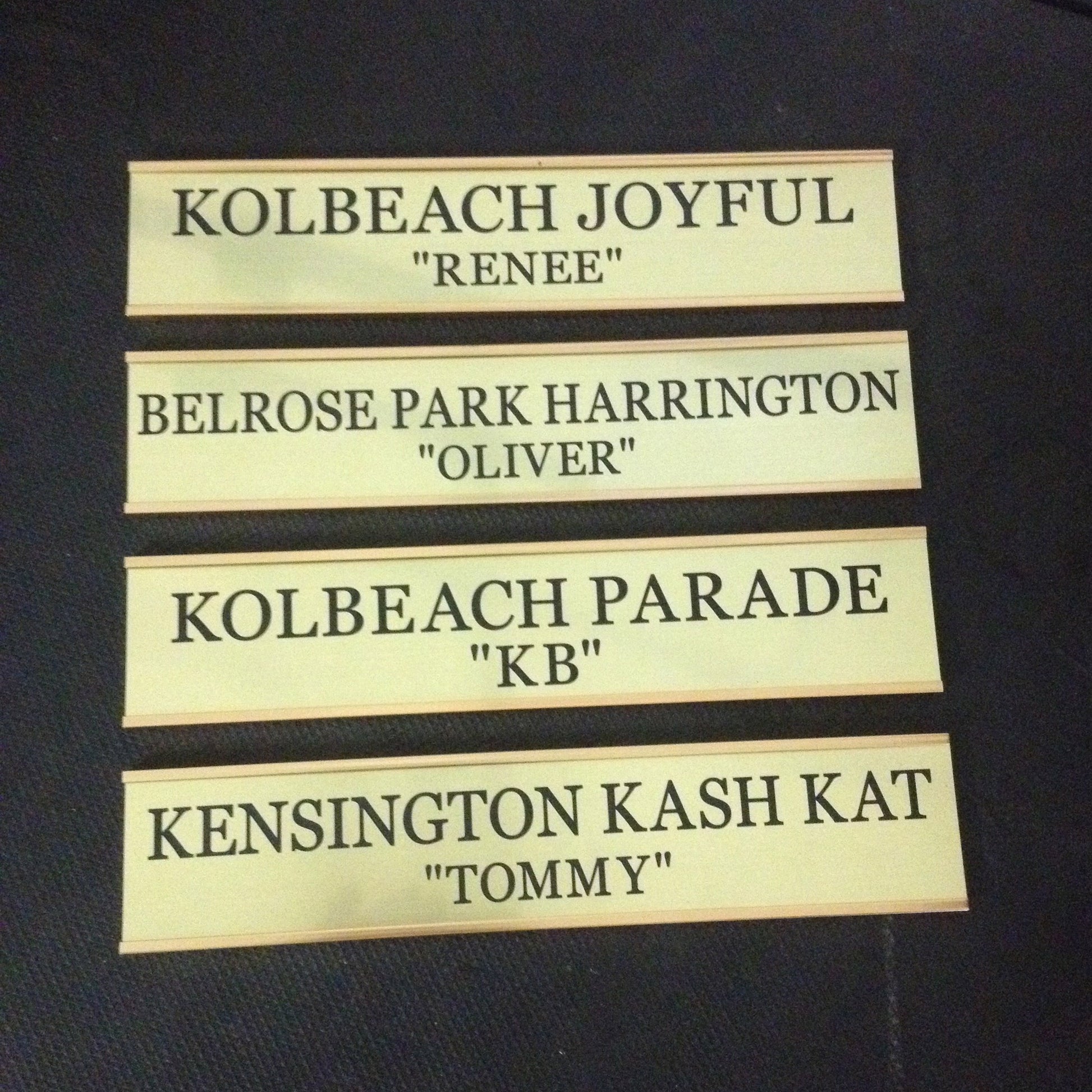 Gold Slide-In Stable Plate