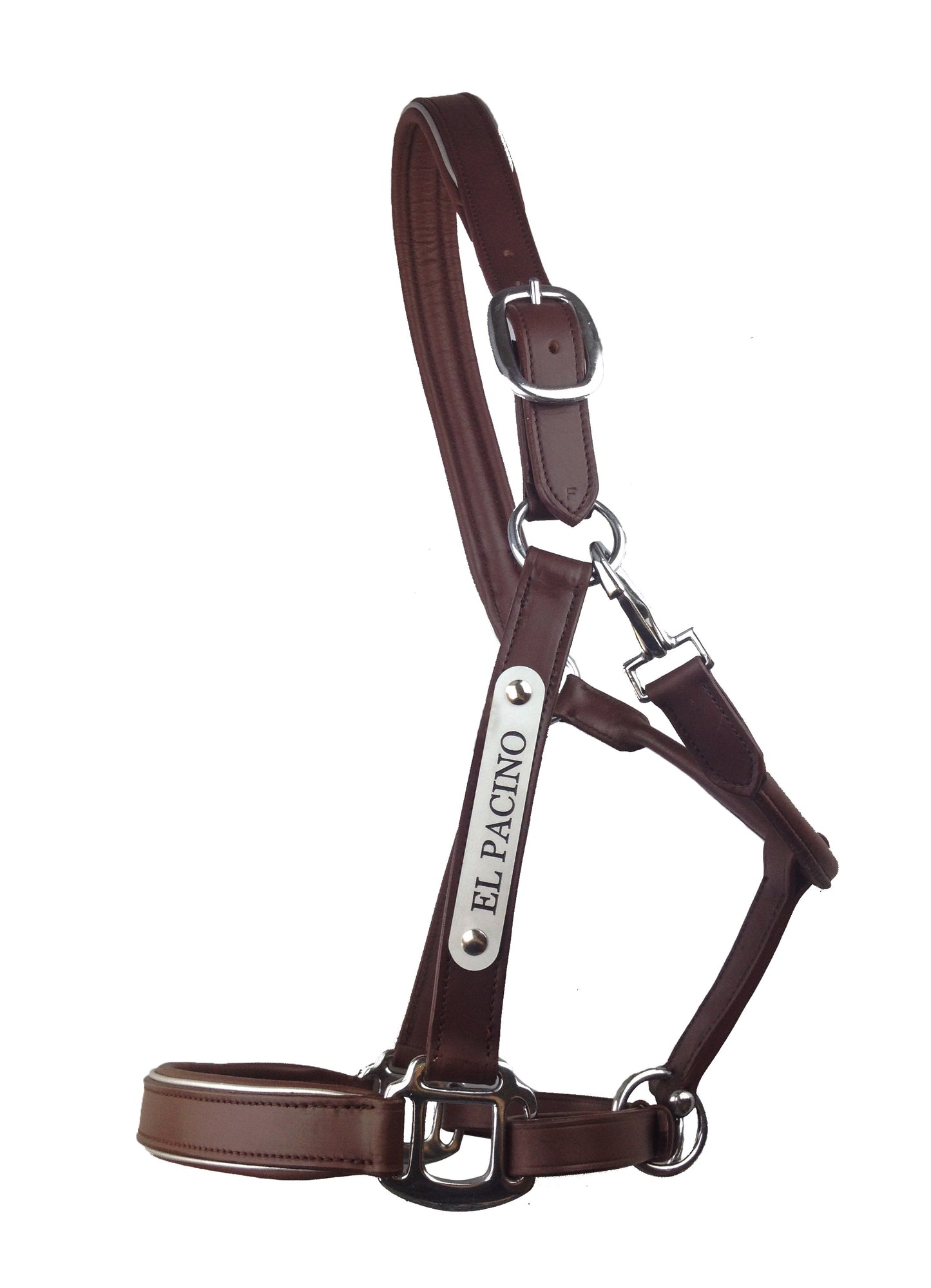 Leather Halter - Stainless Buckles with Engraved Horse Nameplate