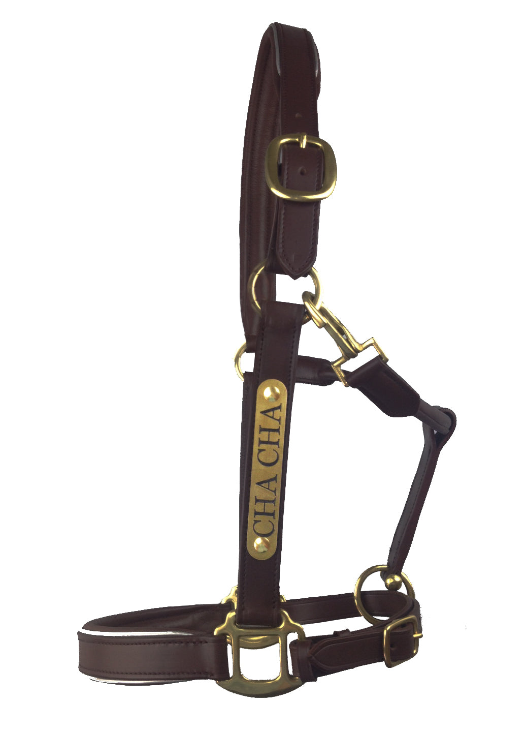 Leather Halter - Brass Fittings with Engraved Horse Nameplate