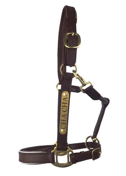 Leather Halter - Brass Fittings with Engraved Horse Nameplate