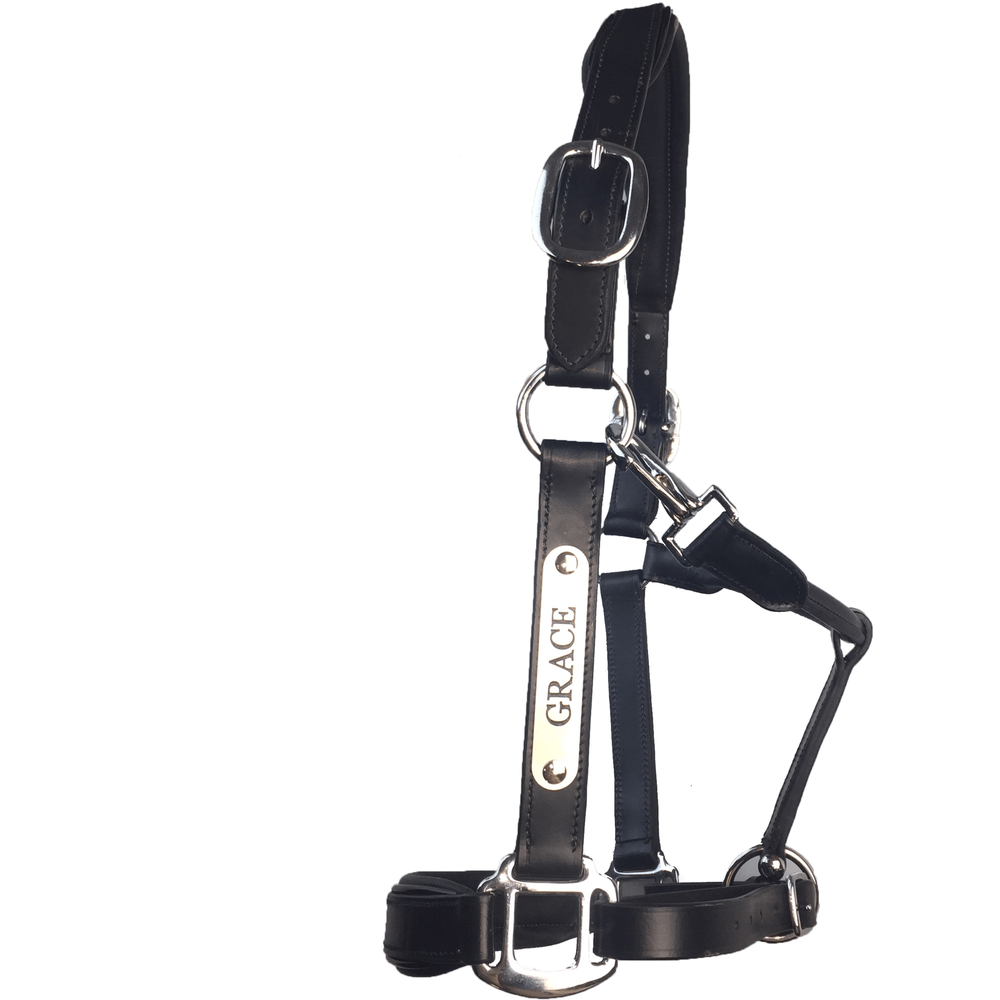 Silver Spur Padded Leather Halter with Contrast Piping 