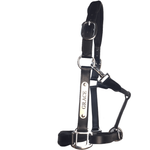 Black Leather Halter - Patent Piping with Engraved Horse Nameplate