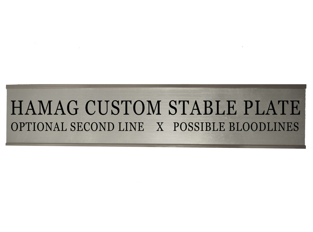 Silver Slide-In Stable Plate