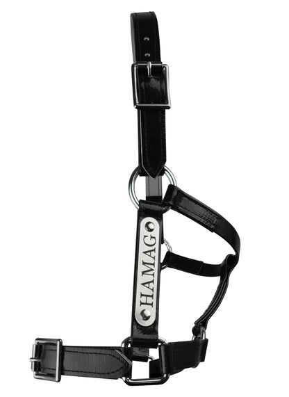 PVC Halter with Custom Engraved Nameplate - Black