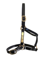 PVC Halter Black - Brass Fittings with Engraved Horse Nameplate