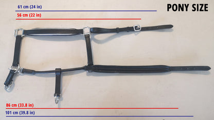 Leather Halter Thoroughbred - Brass Fittings with Engraved Horse Nameplate