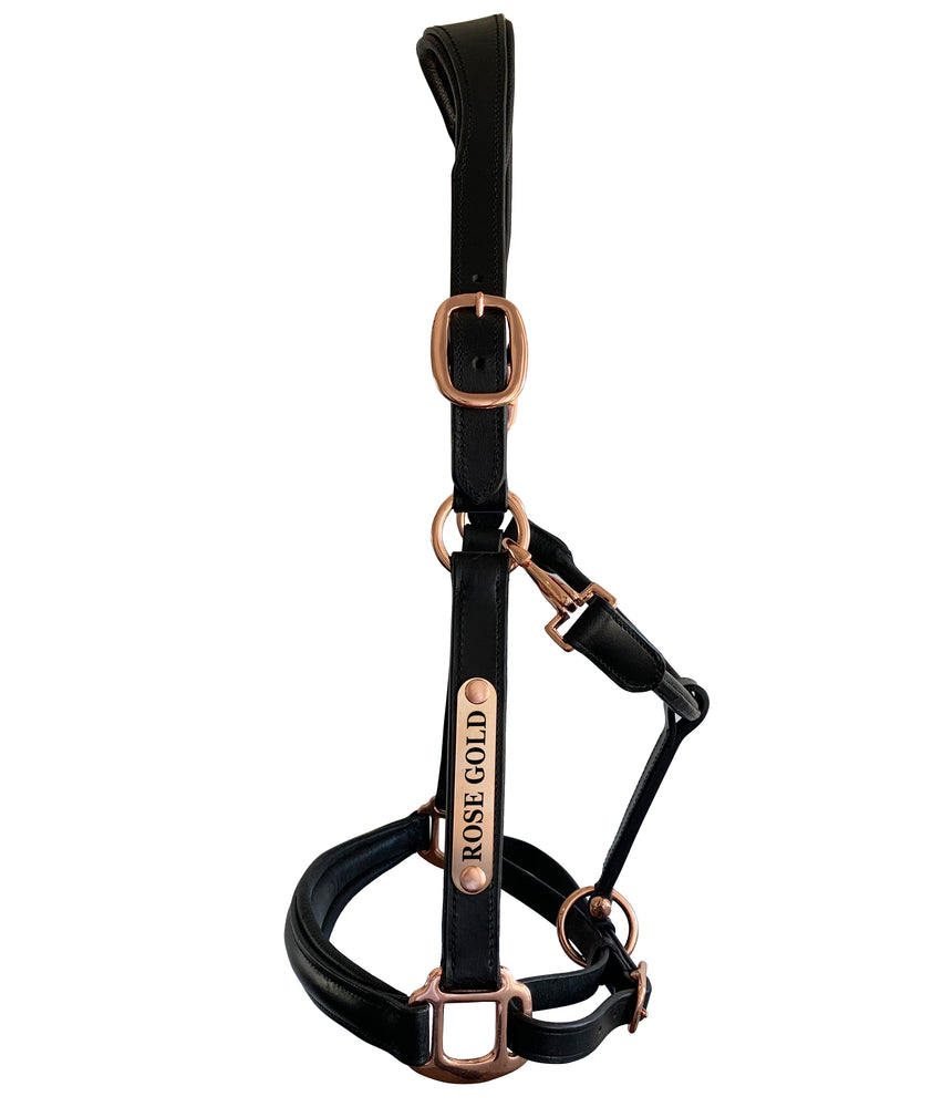 Black Leather Halter - Rose Gold Fittings with Engraved Horse Nameplate