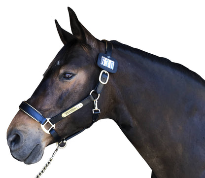 Hamag™ Leather Halter Number Holders (Pair)