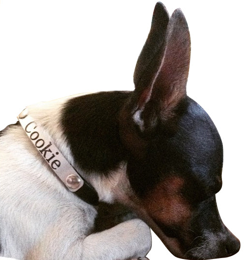 Custom Engraved Leather Dog Collar