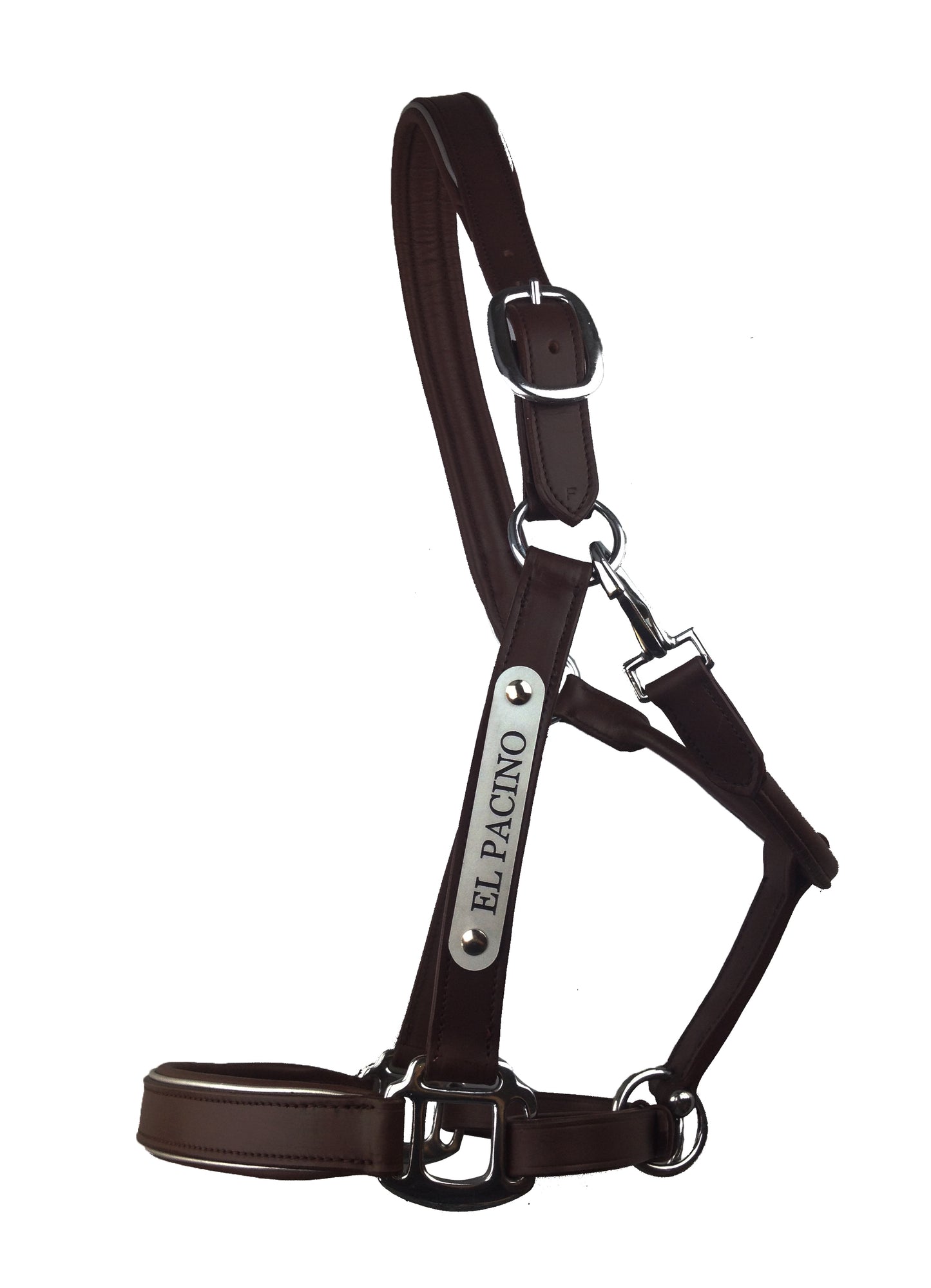 Leather Halter - Stainless Buckles with Engraved Horse Nameplate