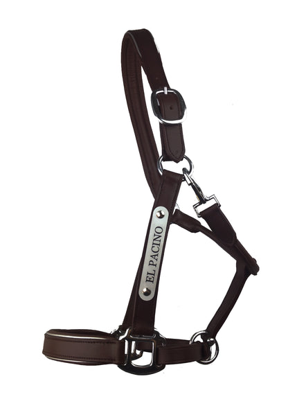 Leather Halter - Stainless Buckles with Engraved Horse Nameplate