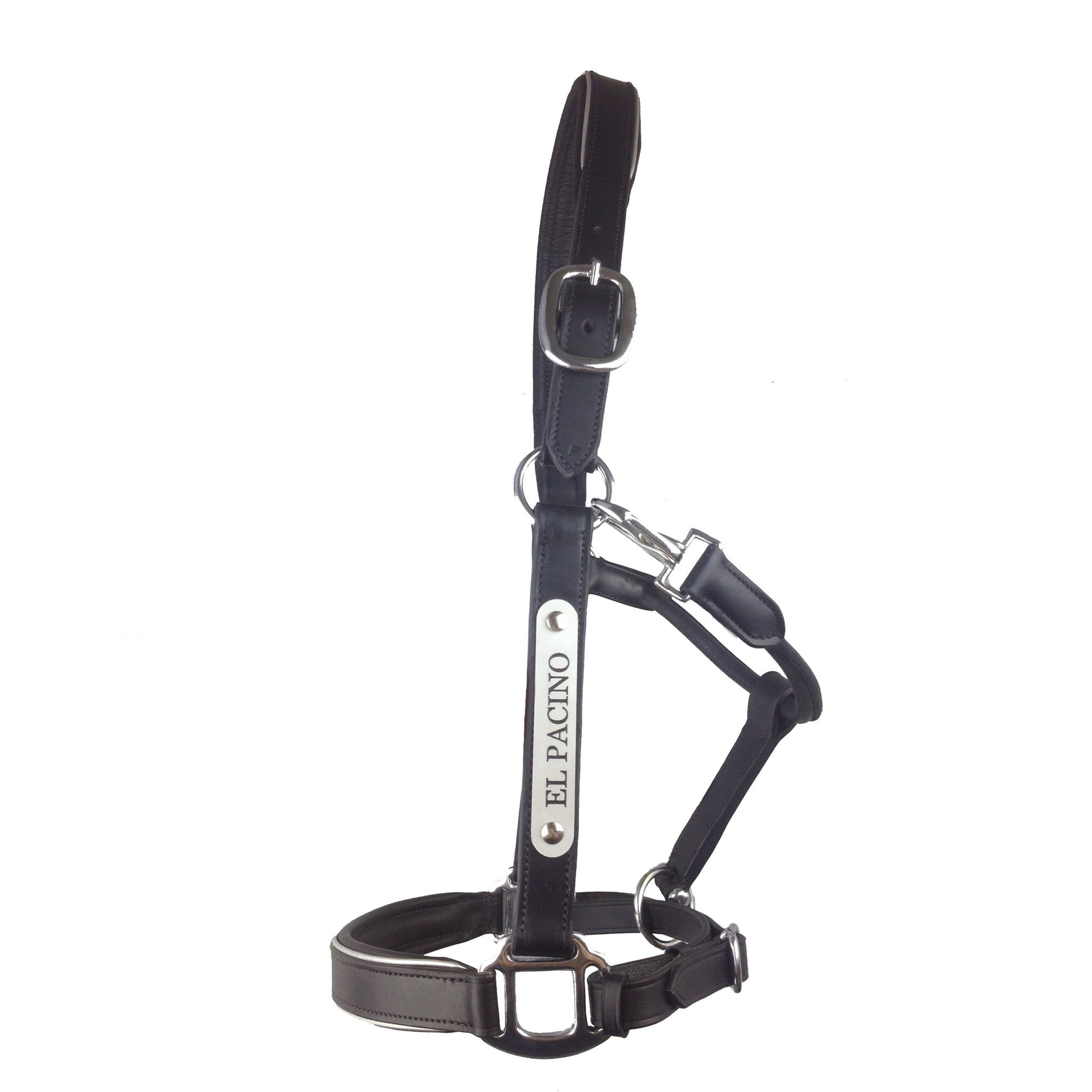 Leather Halter - Stainless Buckles with Engraved Horse Nameplate