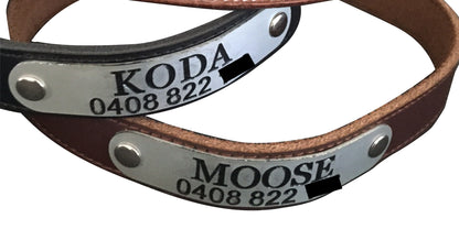 Custom Engraved Leather Dog Collar