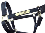 Leather Halter - Brass Fittings with Engraved Horse Nameplate