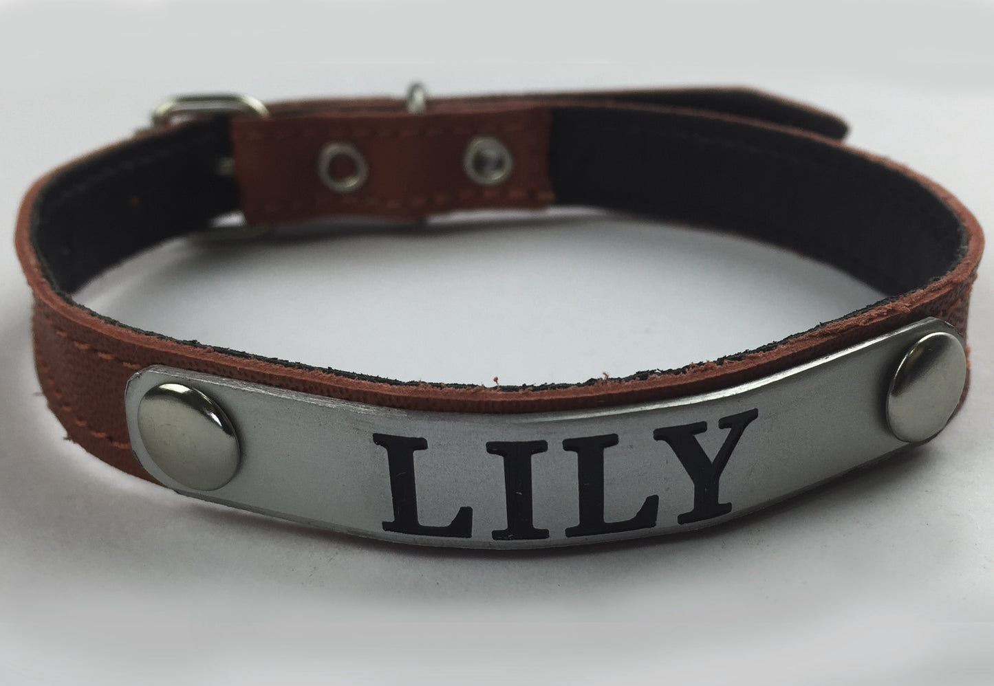 Custom Engraved Leather Dog Collar