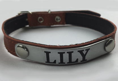 Custom Engraved Leather Dog Collar