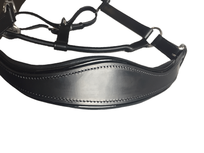 Black Leather Halter - Patent Piping with Engraved Horse Nameplate