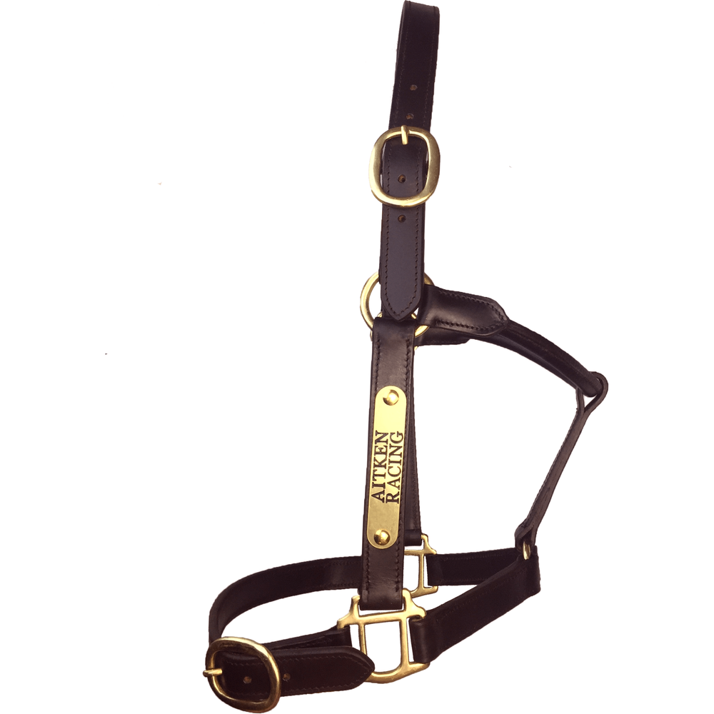 Leather Halter with Engraved Plate - Custom Engraving — JC