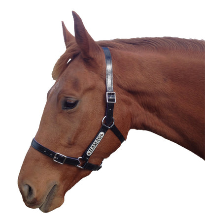 PVC Halter with Custom Engraved Nameplate - Black