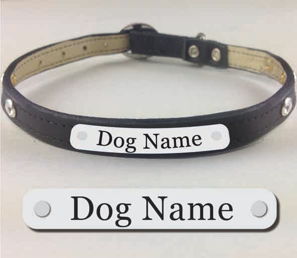Custom Engraved Leather Dog Collar